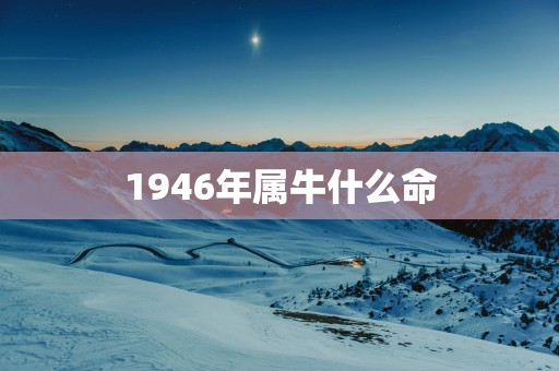 1946年属牛什么命 1946年属牛什么命