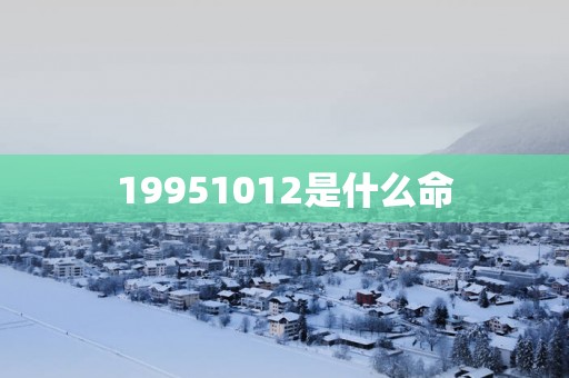 19951012是什么命