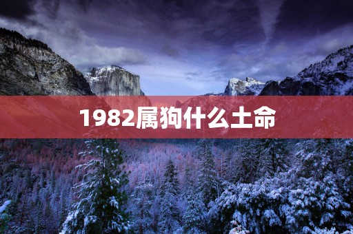 1982属狗什么土命