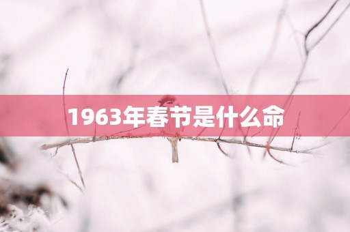 1963年春节是什么命