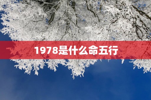 1978是什么命五行