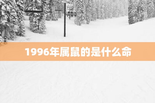 1996年属鼠的是什么命