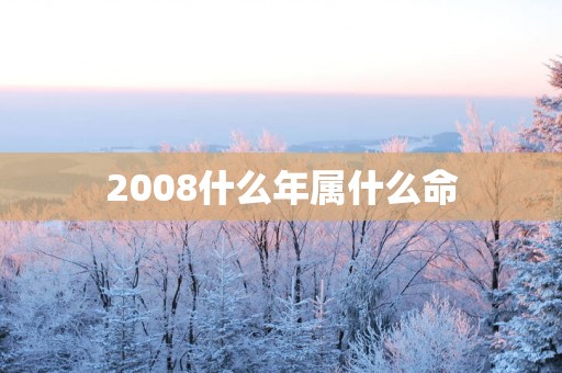2008什么年属什么命