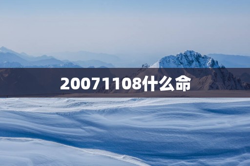 20071108什么命