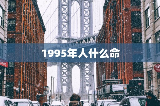 1995年人什么命