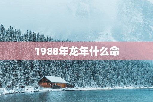 1988年蛇年什么命