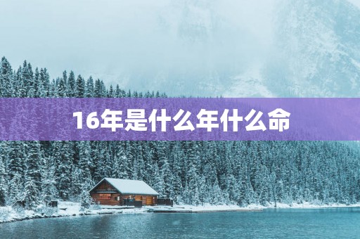 16年是什么年什么命
