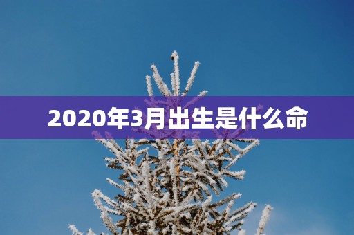 2025年3月出生是什么命