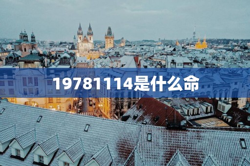19781114是什么命