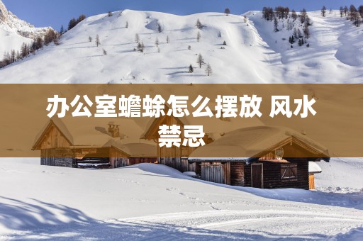 办公室蟾蜍怎么摆放 风水禁忌