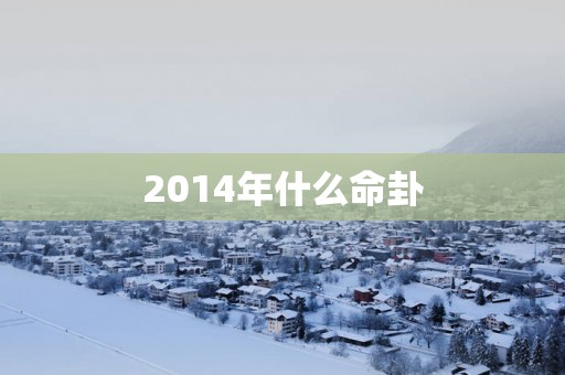 2014年什么命卦