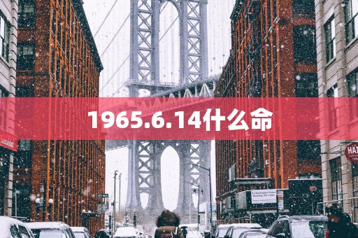 1965.6.14什么命