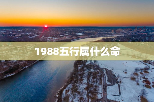 1988五行属什么命