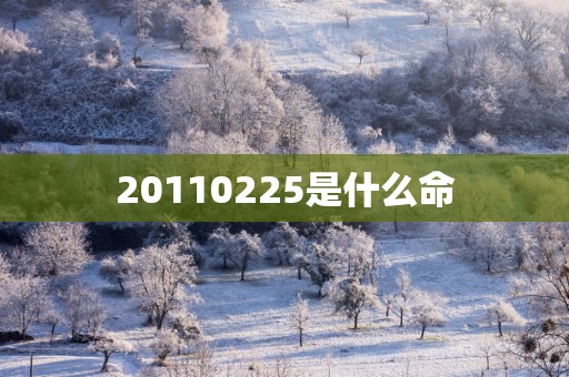 20110225是什么命