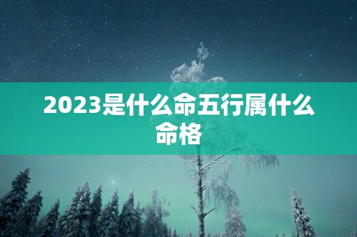 2025是什么命五行属什么命格