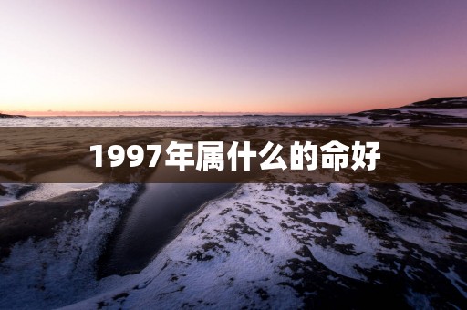 1997年属什么的命好