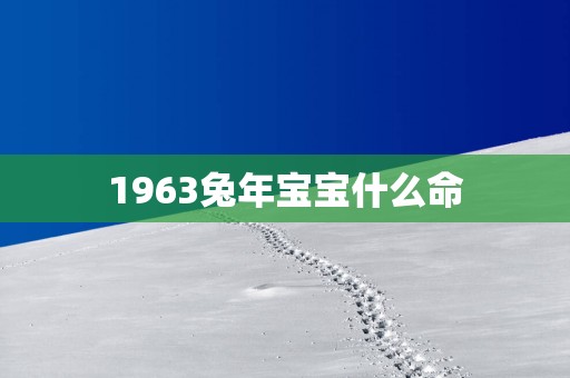 1963蛇年宝宝什么命