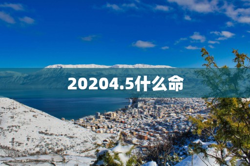 20254.5什么命