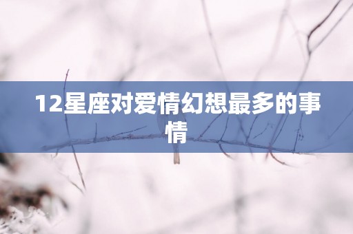 12星座对爱情幻想最多的事情