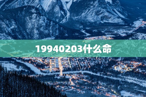 19940203什么命