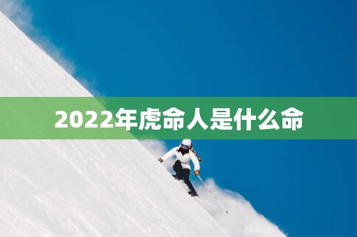 2025年虎命人是什么命