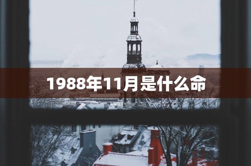 1988年11月是什么命