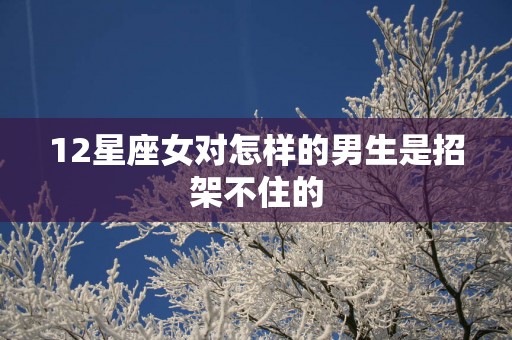 12星座女对怎样的男生是招架不住的