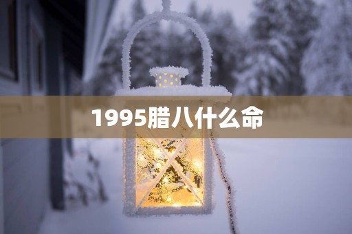 1995腊八什么命