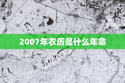 2007年农历是什么年命