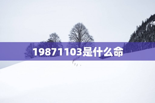 19871103是什么命