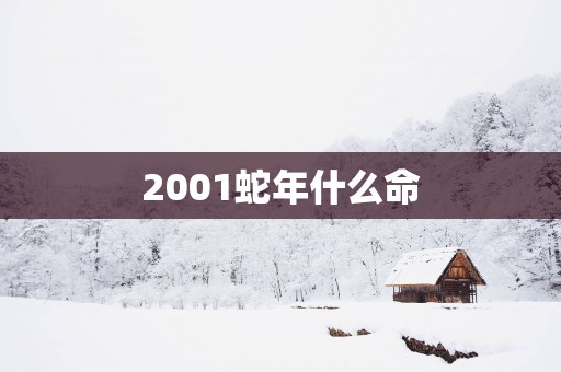 2001蛇年什么命