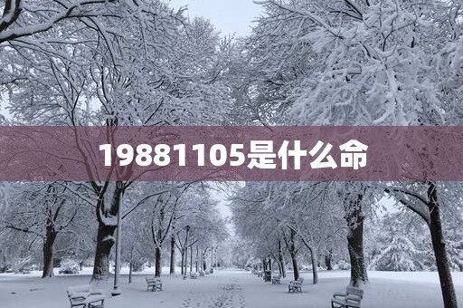 19881105是什么命 19881105是什么命