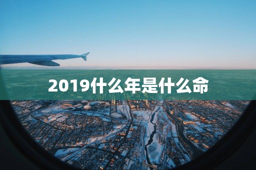 2019什么年是什么命