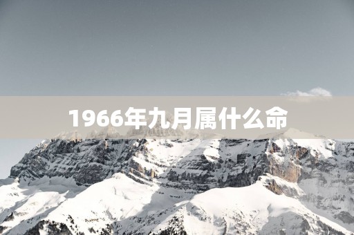 1966年九月属什么命
