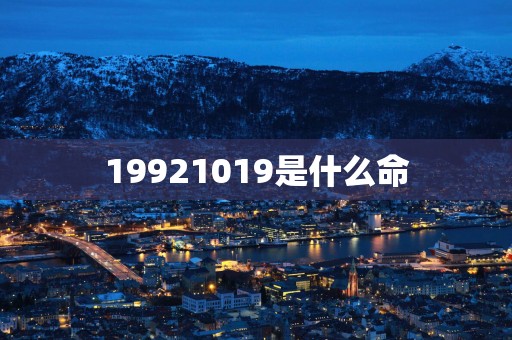 19921019是什么命