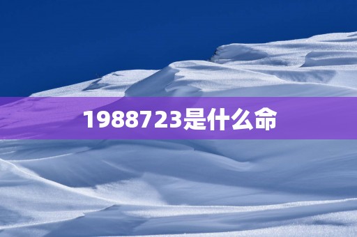 1988723是什么命