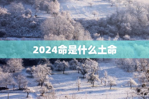 2025命是什么土命