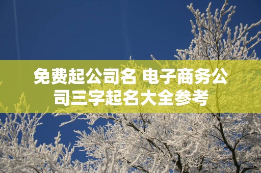 免费起公司名 电子商务公司三字起名大全参考