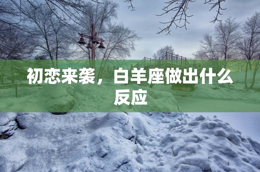 初恋来袭，白羊座做出什么反应