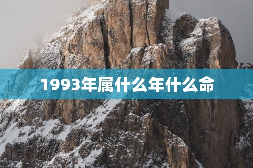 1993年属什么年什么命