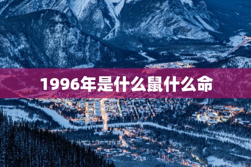 1996年是什么鼠什么命