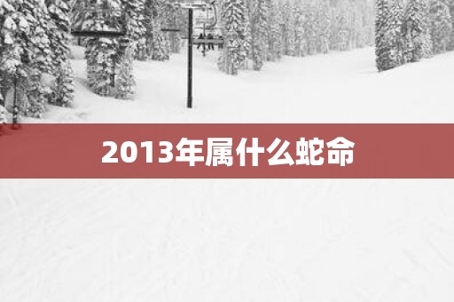 2013年属什么蛇命