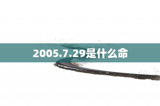 2005.7.29是什么命
