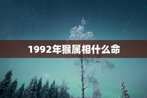 1992年猴属相什么命
