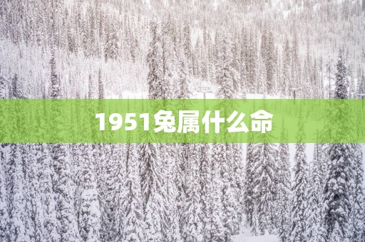1951兔属什么命