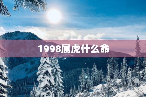 1998属虎什么命
