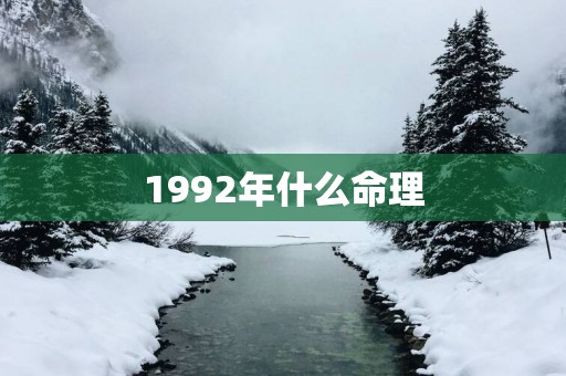 1992年什么命理