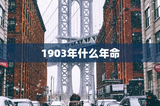 1903年什么年命
