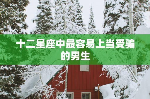 十二星座中最容易上当受骗的男生