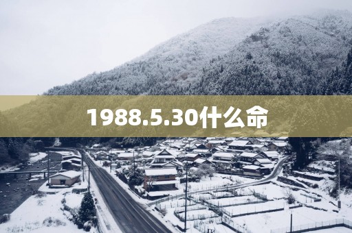 1988.5.30什么命